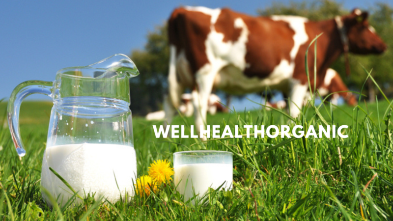 The Complete Guide to WellHealthOrganic Buffalo Milk Tag